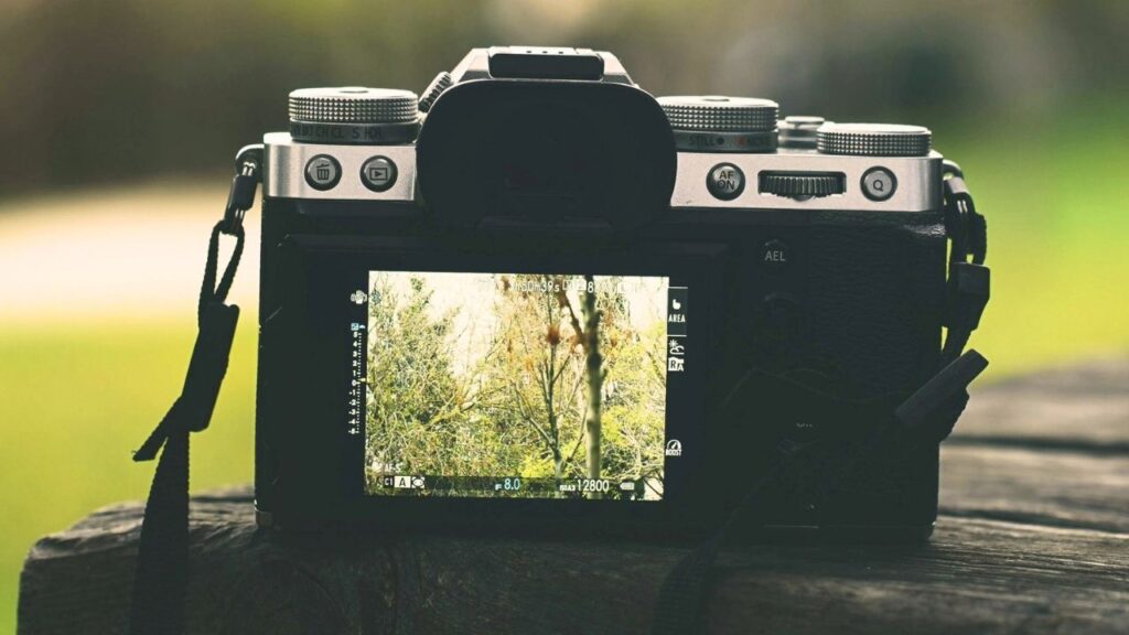 Camera sitting on log, pointed at trees.